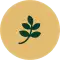 Green Cruise Certified